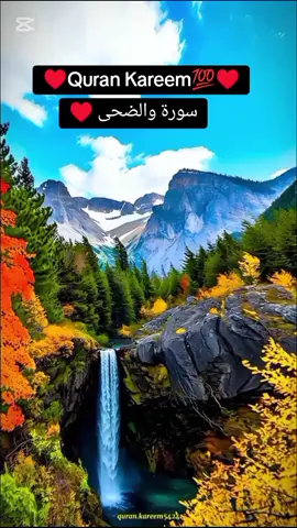 #grow #account #viral #video #trending #tiktok #islamic #video #muslim #Quran #kareem♥️🥰💯 
