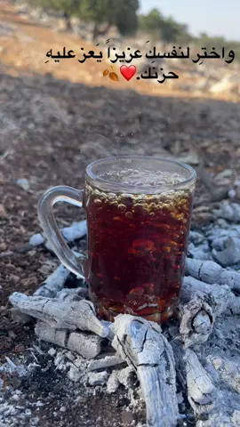 #الاردن🇯🇴 #عجلون #جرش #اربد #السلط #العراق🇮🇶 #سوريا 