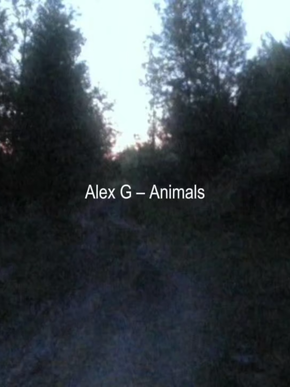 Alex G – Animals // #lyrics #music #fyp #alexg 