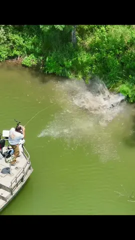 They will go craze #bowfishing #oneidaeaglebows #fishing #fishtok #drone #dronevideo 