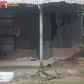 মাথা নষ্ট🤣🤣🤣#funnyvideo #tending #viral #foryou #foryou #foryou#foryoupage #foryou