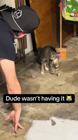 I may or may not have peed myself from laughing so hard 🤣🤣🤣 he wasn’t having no part of this 🤣 #funny #funnyvideos #funnyvideo #catsoftiktok #funnycat #f #fyp #foryou #fypシ #cat #catslovers 