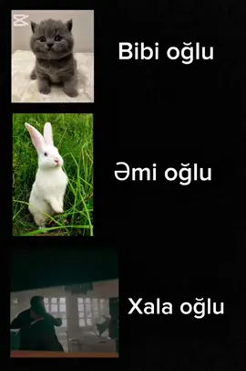 “Bu qohumluqda bibi oğlu şirin, əmi oğlu şokda, xala oğlu isə boss 😎”#xalaoğlu #bibioğlu #əmioğlu #qohumlar #fypツviral 