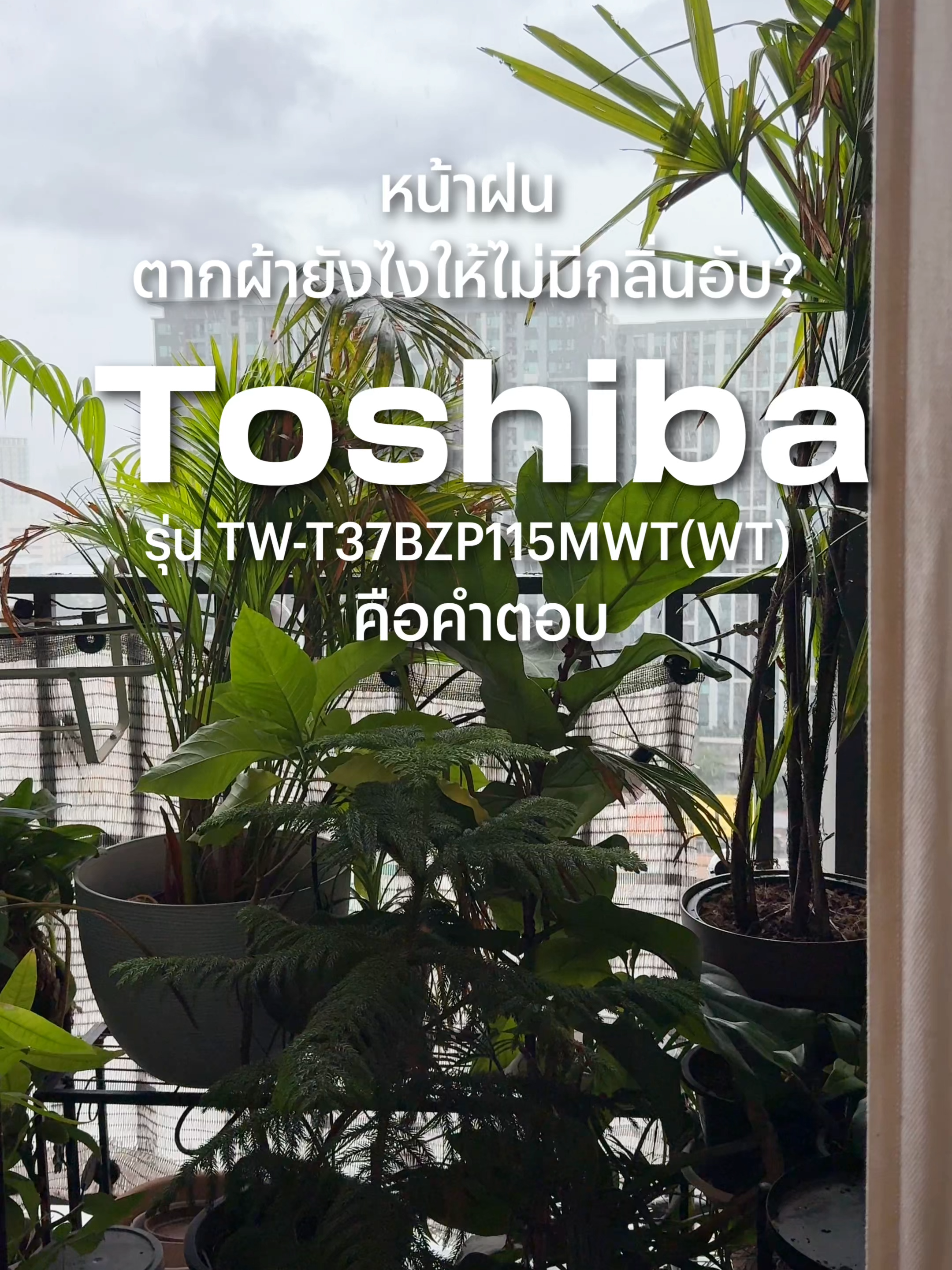 หน้าฝนตากผ้ายังไงให้ไม่มีกลิ่นอับ? Toshiba รุ่น T37 ที่มาพร้อมฟังก์ชั่น Aroma+ คือคำตอบ #TOSHIBA #DetailsMatter #เครื่องซักผ้า #เครื่องอบผ้า #AROMA+MATTERS #หอมสะอาดยาวนานทุกวัน