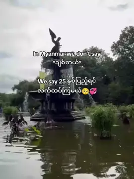 25နှစ်ပြည့်ရင်လက်ထက်ကြမယ်နော်😭💗🥺 #fypシ #foryou #fppppppppppppppppppp #fyyyyyyyyyyyyyyyy #ညတင်ရင်viewမတက် #ဒီတစ်ပုဒ်တော့fypပေါ်ရောက်ချင်တယ် 