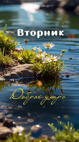 Вторник 🌺  Доброе утро ☕  Готовые сторис на каждый день недели. Мотивация. Цитаты. Открытки. #вторник #доброеутро  #утренниесообщения  #видеооткрытки  #утренняямотивация  #красивыеслова  #пожеланиядоброгоутра  #цитатысосмыслом  #природа  #высказывания 