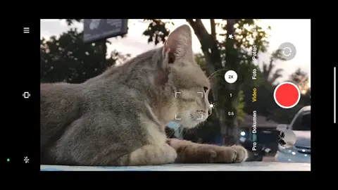 😹#colorgrading #turorial #anomali #fypage #xiaomi #Poco #pocox3nfc 