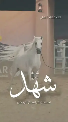 شيلة باسم شهد 2026 شيلة مدح باسم شهد ' اداء فهاد العلي ' #لطلب_الشيلات_0505336824 #شيلة_باسم_شهد #شيلة_شهد 