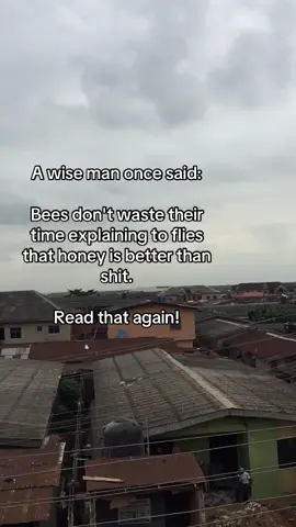 Bees 🐝 #Foryou #quotes #adminquotes #adminquotes1 