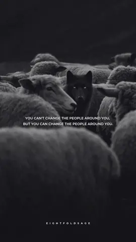 You can’t change the people around you, but you can change the people around you. #motivation #discipline #fyp #motivationalquotes #stoic #wisdom #lifequotes #mindset #warrior #success #stoicism 