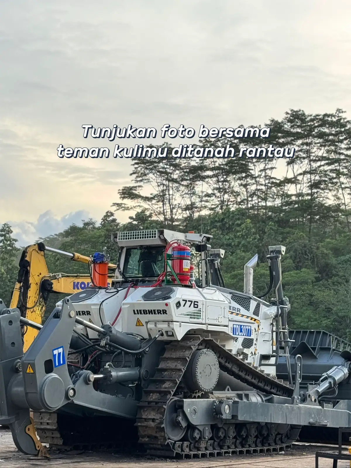 #tambangbatubara #kulitambang 