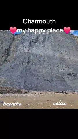 Charmouth on the Jurassic Coast, my happy place🥰 slim pickings for fossils today🤩 place#creatorsearchinsights #relax #breathe #metimecheck #chill #timeout 