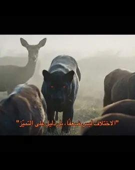 دليل علي التميز…اشترك او حمل الكتاب من البايو ، لتكون مميز .. ..دائماً✨✅ #وحش #انجاز #تحفيز #viral #fpy #السعودية #قطر 