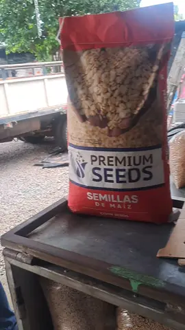 #premiumseeds 🌽 #diagrielsalvador #enviosatodoelsalvador🇸🇻 #agroferreterialacañda #launionelsalvador🇸🇻💙 