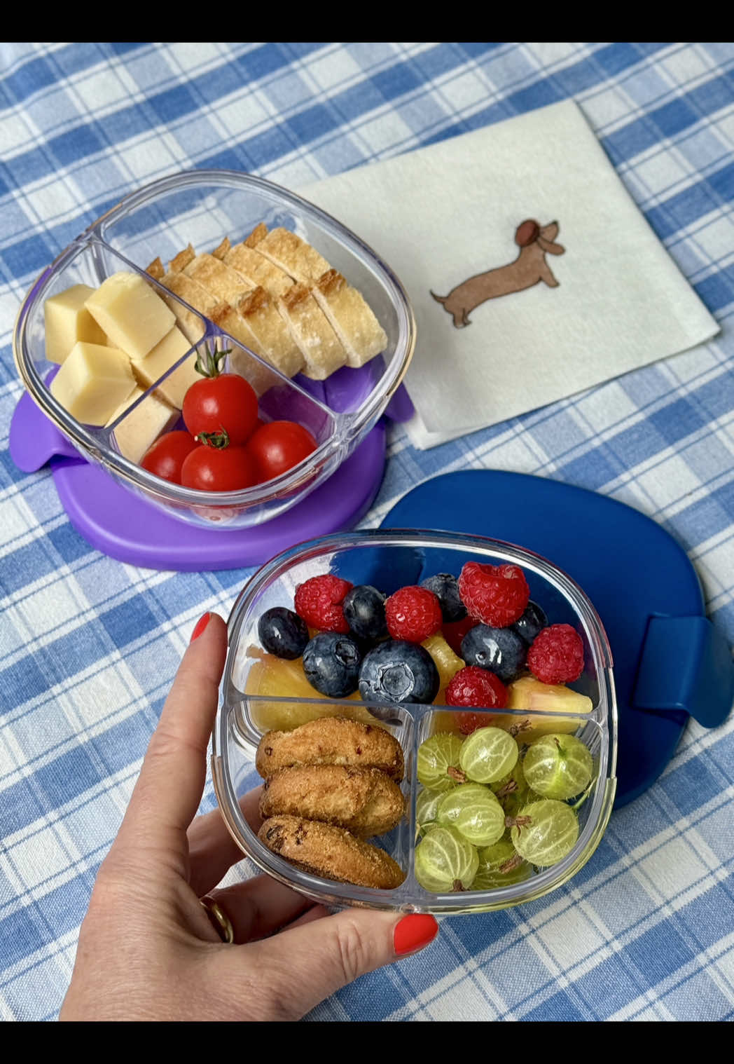 Choose your team! Are you team sweet or team savory? Both snacks packed in Yumbox Snack Bowl.  #yumbox #backtoschool #packedlunch #kidslunch #HealthyLunchIdeas #bentobox #kidstiktok #PackedLunchTips #snacksmart #snackbreak 