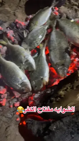 #البدع_حقل_ضباء_تبوك_نيوم #تصويري 