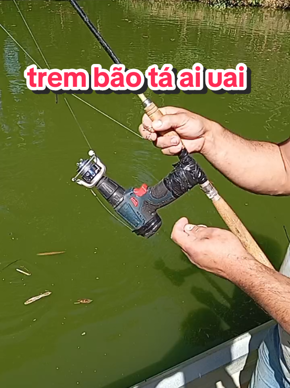 #tik_tok #peixe #pescaria #pescador 