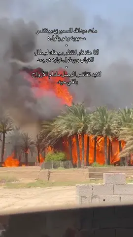 # تغانمو الوصل مادام الأرواح باقي حيه.  