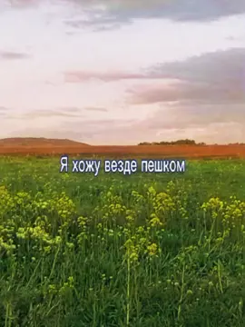 ай, пox, пойдет, но мне не особо нравится #летов #егорлетов #гражданскаяоборона #егорлетовжив #гроб #егордохлый #айя #долгаясчастливаяжизнь 