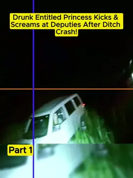 Drunk Entitled Princess Kicks & Screams at Deputies After Ditch Crash! #cops #copsoftiktok 