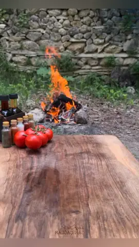 outdoor cooking #cookingforest #outdoorcooking #cooking #Recipe #beefwellington #beef #survivor 