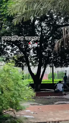 শেখ হাসিনার #🤍🖤 #🤍🖤 #🤍🖤 #🤍🖤 #🤍🖤 #🤍🖤 #🤍🖤 #🤍🖤 #🤍🖤 #🤍🖤 #🤍🖤 #🤍🖤 #
