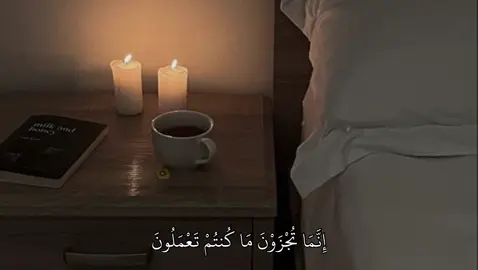 سورة : التحريم |7|8|| #قران #fyp #quran 
