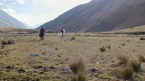 Carrera de morochucos 🏇 #caballo #morochucos #julcapampa #perú🇵🇪 #carrerasdecaballos 