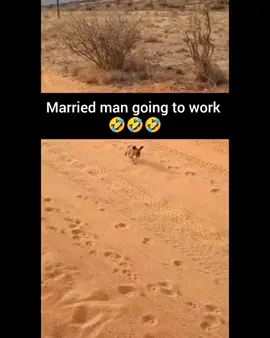 Women should start respecting men in every corner.#fyppppppppppppppppppppppp #viral #alfarisy #marriedmen #fyp #foryou #ugandatiktok #kenyantiktok🇰🇪 #trendingvideo #trend #foryoupage 