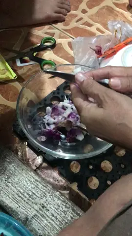 dasar kucing abu bloon (lovingly) #catsoftiktok #cat 