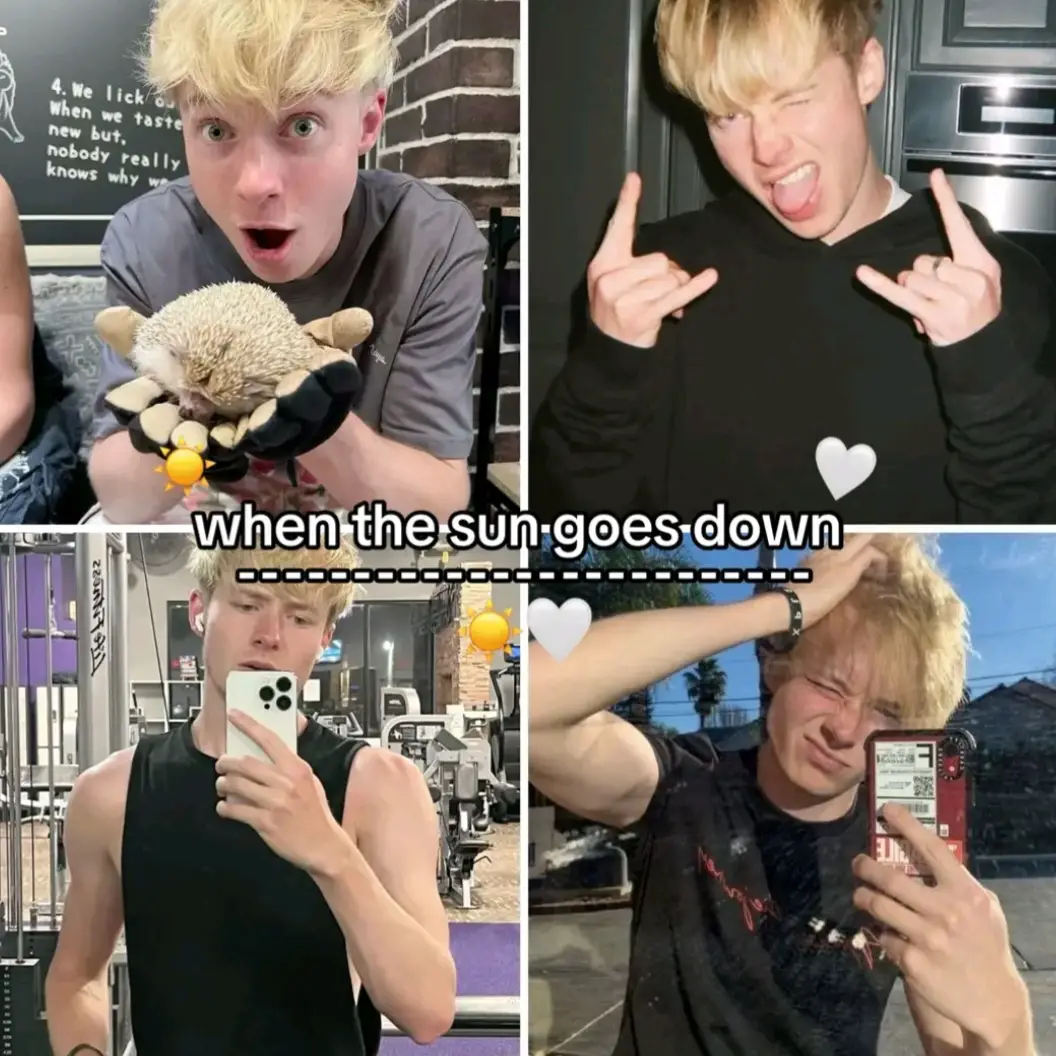 🌝🌚 #samandcolby #samgolbach #colbybrock #xplr #fyp #foryou #foryoupage #trending #followme  @Sam and Colby @Sam Golbach @Colby Brock @Sam and Colby Reacts 
