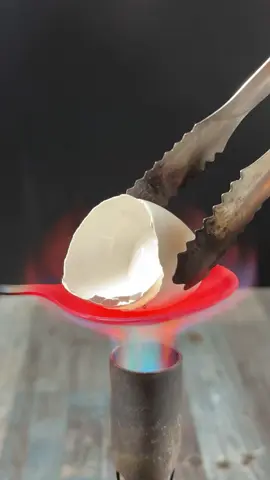 Experiment : 1000°C Red Hot Angry Spoon Vs Egg Shell #angryspoon #satisfying #asmr #oddlysatisfying #asmrsounds #spoon #asmrsounds 