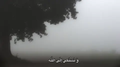 #قران #قران_كريم #تلاوة_خاشعة #محمد_صديق_المنشاوي 