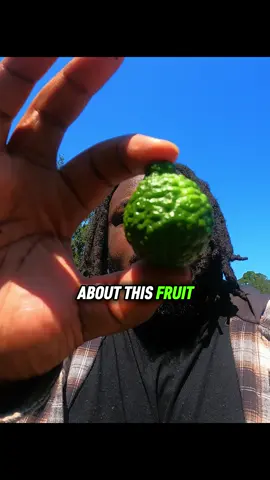 One of The Weirdest Fruits Ever Grown 🍋‍🟩 