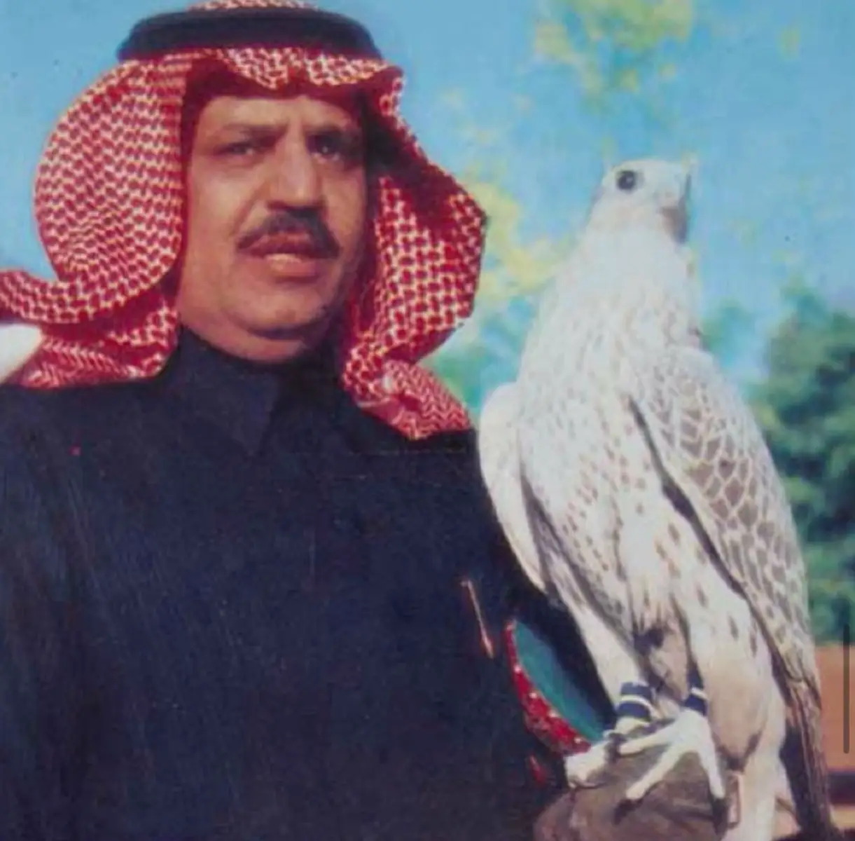 #مقناص_الامير_نايف_بن_عبدالعزيز_الله_يرحمه #اكسبلور 