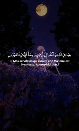 reposé vôtre ouï et votre cœur récitation quran belle voix par Abdullah mattrood  #million #quran_alkarim #قرآن_كريم_راحة_نفسية #quranrecitation #vira #fyp 