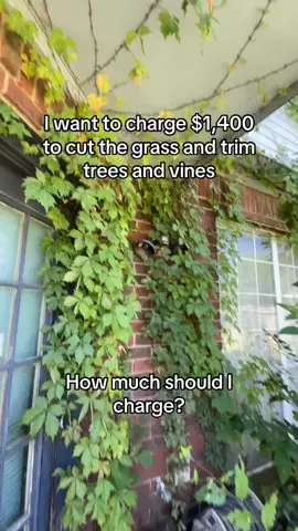 The front yard grass is cut but the backyard looks like a jungle 😭#landscaping #lawncare #lawntok #lawnmower #lawntiktok #lawncarenut #lawncarelife #lawnsoftiktok #grass #grass #landscaper #landscapinglife #work #labor #tallgrass #crazystory #business #businessowner #entrepreneur #money #wealth #fyp #fypシ #fypシ゚ #viral #blowthisup #teamwork #teamworkmakesthedreamwork #success #hardwork 