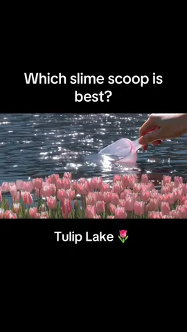 Every scoop is so beautiful ✨💐🌷🌾 #slime #scoop #nature #slimeasmr #slimetok #scoopasmr #scoop #lake #water 