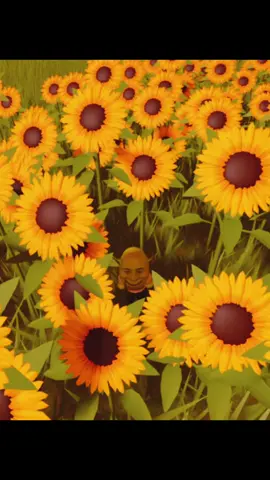 Shrek has a crush #shrek #shrekdancing #shrekgoingthroughit #crush #roblox #tylerthecreator #seeyouagain 