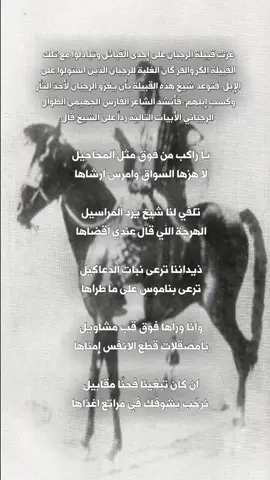 ذيداننا ترعى نبات الدعاكيل .                                  #الرجبان #الدواسر #قحطان #المساعره #الجزلاء #الاميلاح 