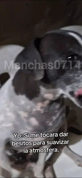 Besitos para que disfruten del almuerzo! #paratiiiiiiiiiiiiiiiiiiiiiiiiiiiiiii #manchas0714 #parati 