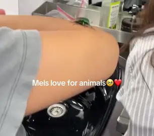 How I love her🫂❤️#melissaoneil #animals #sweet #actress #melissa #oneil #therookie #viral #fyp #fypage #foryoupagee #perte #fürdich #goviral #viralllllll 