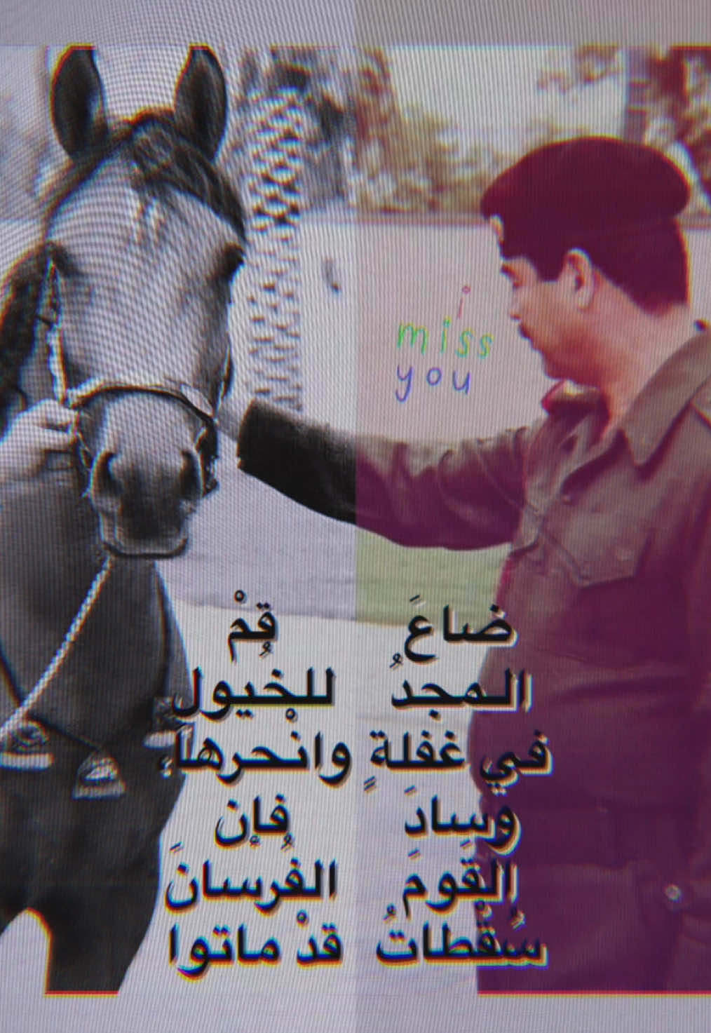 ،                       #صدام_حسين #صداميون #saddam_hossain #اكسبلورexplore #explore #explorepage #خور_عبدالله #الخيول_العربية_و_البربرية #خور_عبدالله_عراقي🇮🇶 