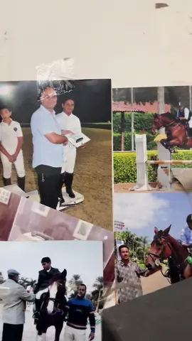 I spent years trying to be  a top level equestrian I actually retired  when i was 19 years it was a great journey and i finished in the top 3 ,level B and that is a professional level in the egyptian league wish they could take me back .