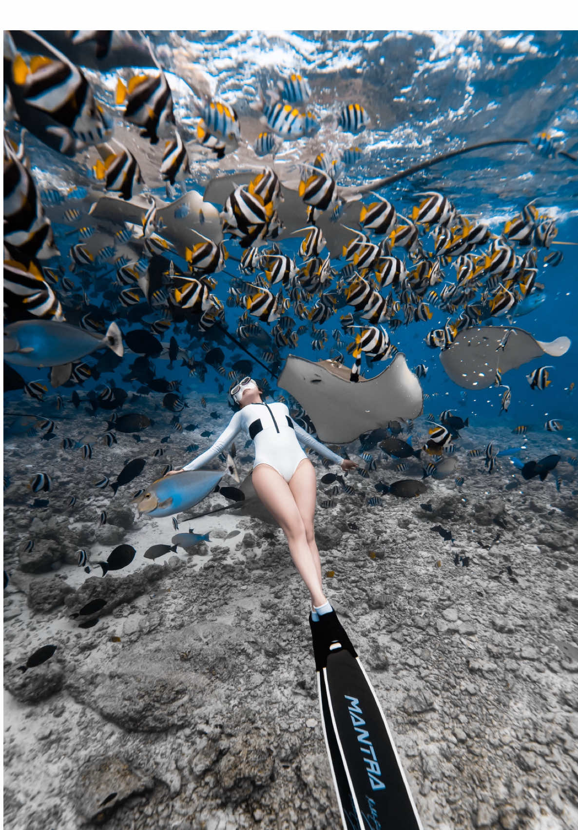 Adventure trip.explore north Male atoll 🐠 fish tank most popular point for snorkeling | Maldives 🇲🇻  - - #fishtankmaldives  #maleatoll  #maldives  #maafushi  #kaanitours 