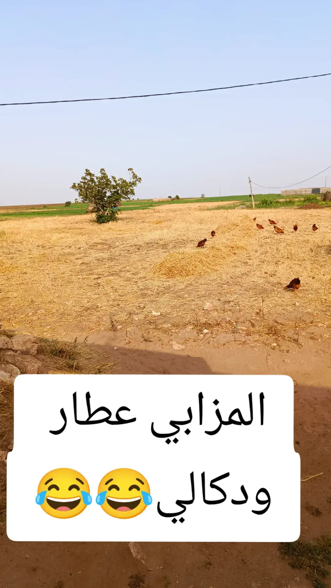 #دكالة_بلاد_الخيرات❤️💪💯 