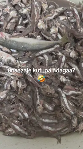 #sambaza #AfricanFood #swahili #congolaisefood🇨🇩 #tanzania #congolaise🇨🇩 #mikebuka #AfricanFood #tanzaniafood 