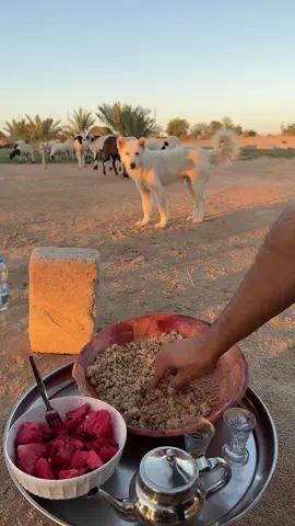 #ليييا🇱🇾تونس🇹🇳الجزائر🇩🇿المغرب🇲🇦موريتانا🇲🇷المغرب_العربي #اللهم_صلي_وسلم_وبارك_علي_سيدنا_محمد #وذكر_فإن_الذكرى_تنفع_المؤمنين🍂🥀 #فلسطين🇵🇸 #شعب_الصيني_ماله_حل😂😂 