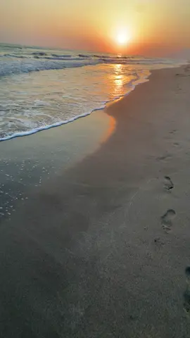الجزء 12|شاهد للنهايه منشن ☀❤F+y🫴