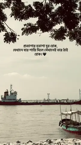 প্রত্যাশার হতাশা দূর হোক, যেখানে যার শান্তি মিলে সেখানেই তার ঠাই হোক।🖤 #foryou #viral #bangladesh🇧🇩 #caption 
